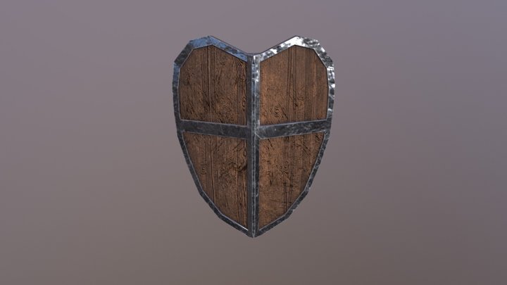 Shield Test 3D Model