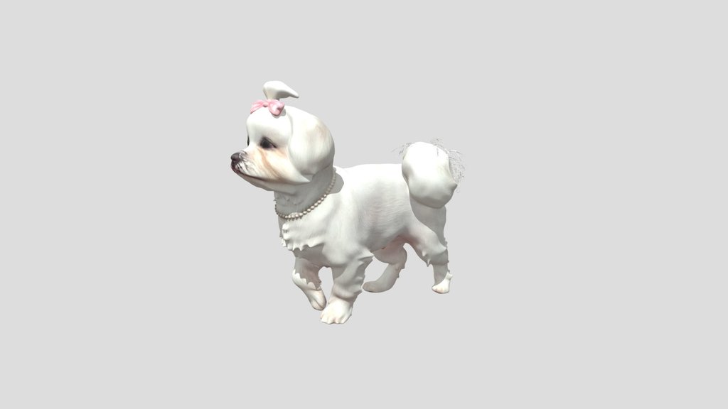Pearl Princess Dog