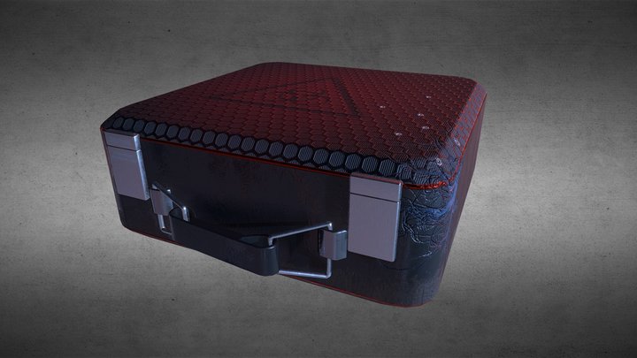 Biohazard Suitcase 3D Model
