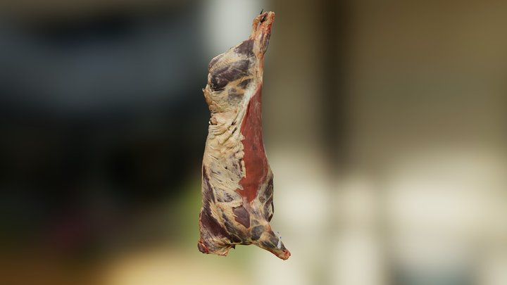 Meat Carcass 3D Model