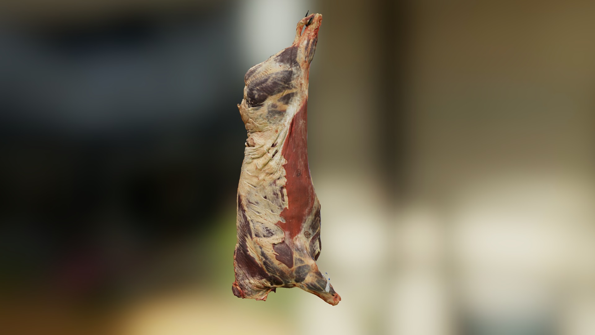 3D model Meat Carcass - This is a 3D model of the Meat Carcass. The 3D model is about a brown snake with a black background.