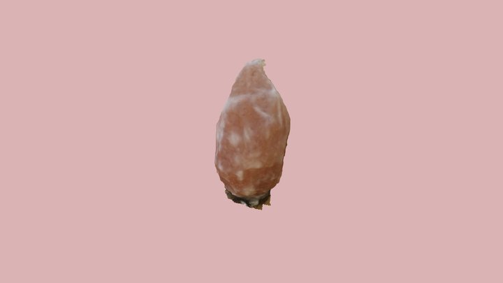 salt light 3D Model
