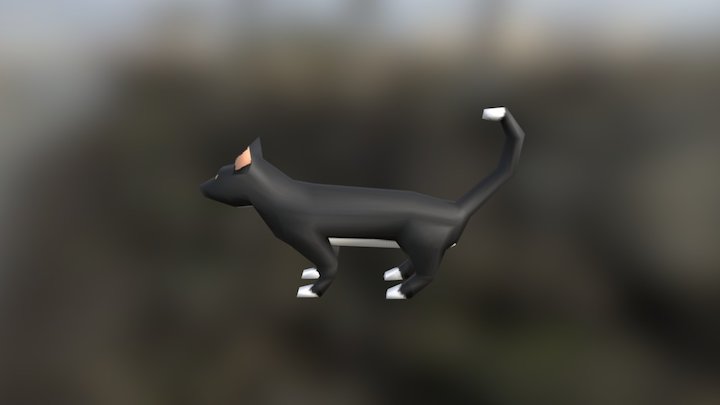 Black Cat 3D Model