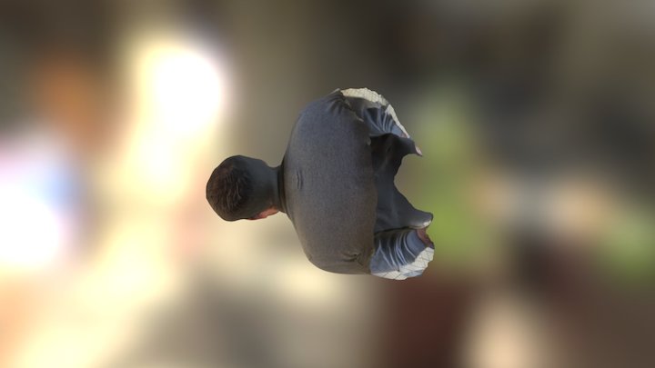 S.C 3D Model