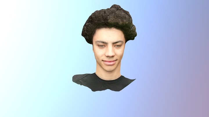 Face scan example 3D Model