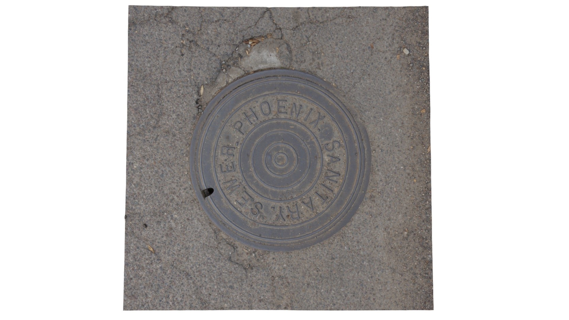 Phoenix Manhole Cover