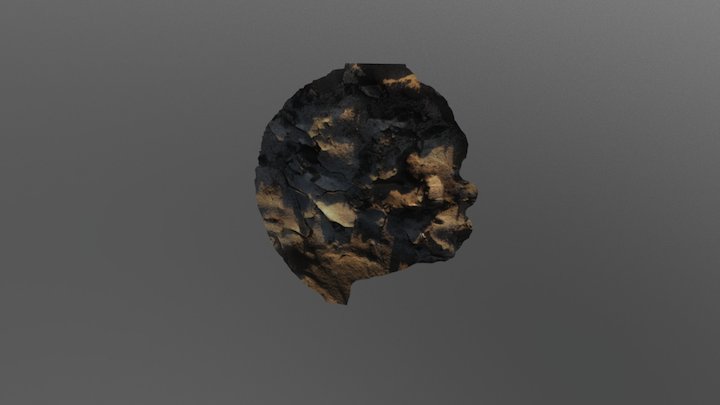 Muddy 3D Model