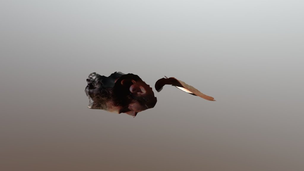 A TRNIO Model