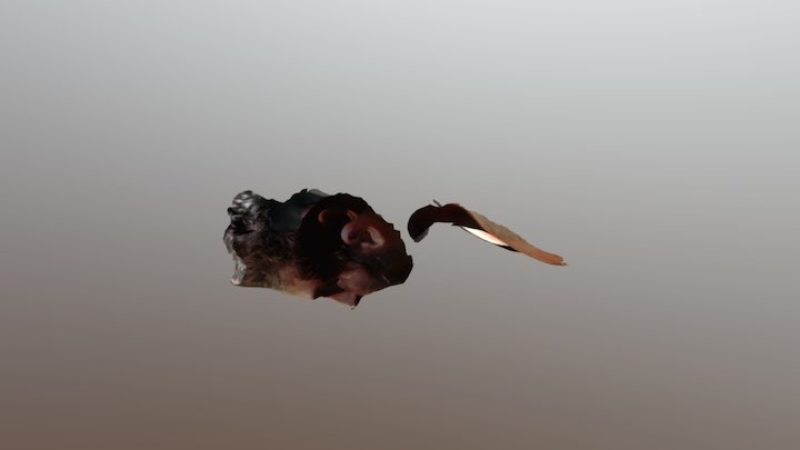 A TRNIO Model 3D Model