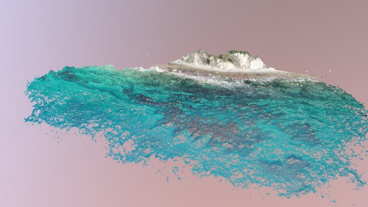 Mohawk Kelp Forest 3D Model
