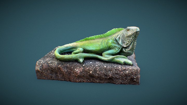 Lizard 3D Model