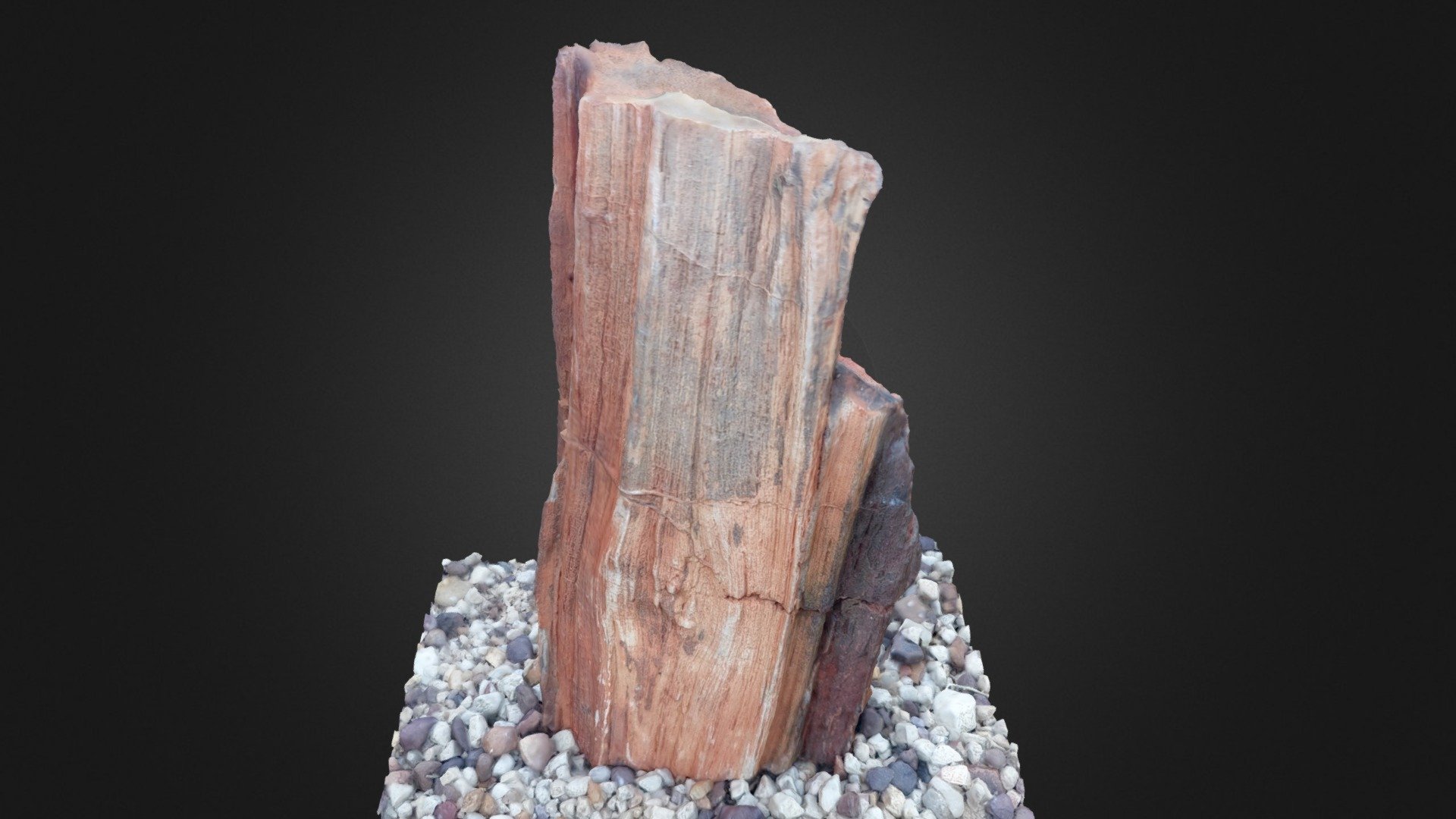 Petrified Wood - Download Free 3D model by col.opalton [e610a4a ...