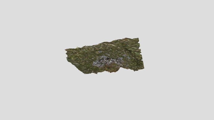 Moel Wnion South Cairn 3D Model