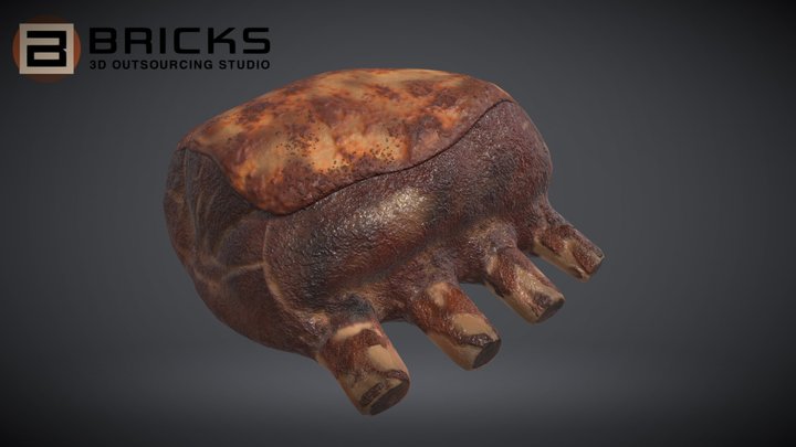 Beefribsgrilled 3D models - Sketchfab