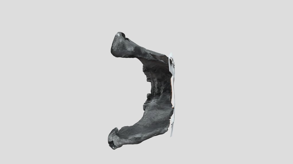 UNC_Scan_38