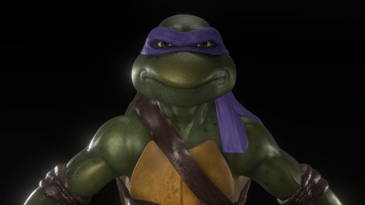 Donatello - Teenage Mutant Ninja Turtle, A pose 3D Model