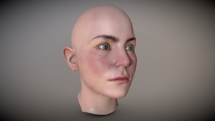 Head 3D Model