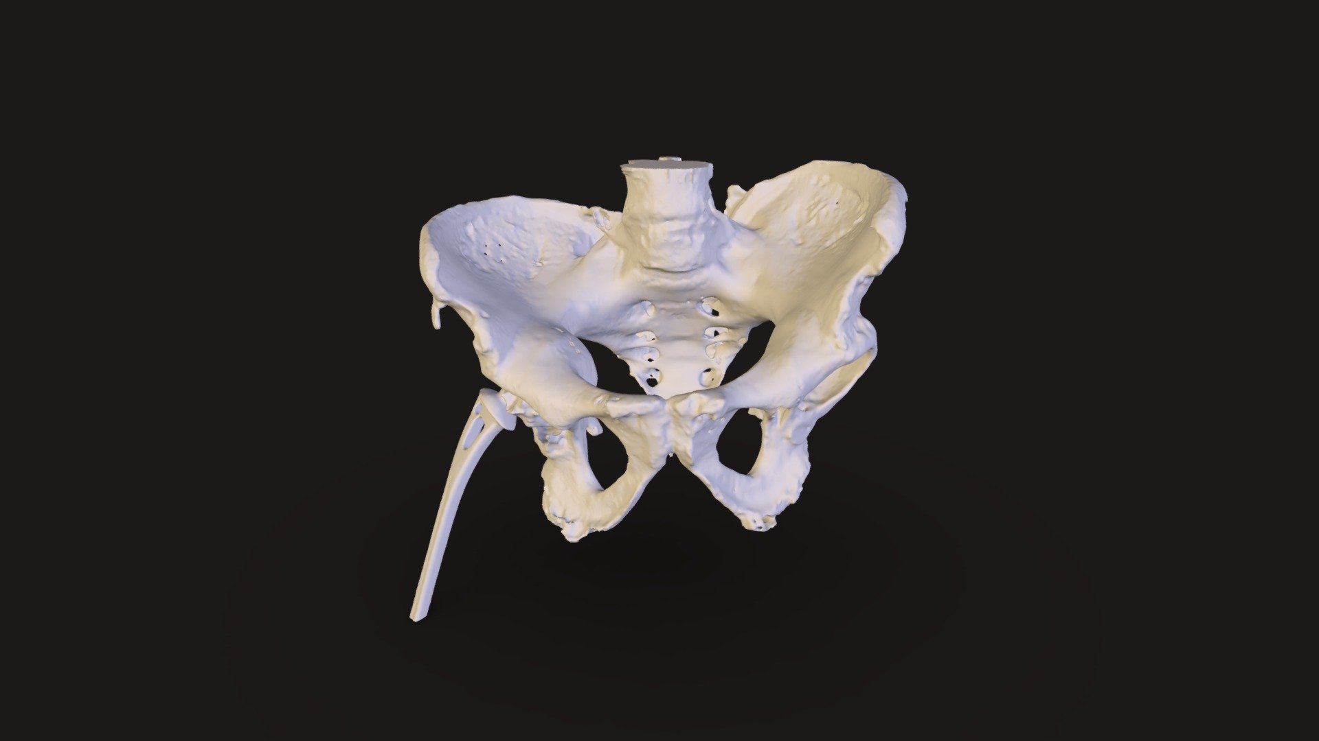 GENG HONG LIANG Bone 001 - 3D model by anxiaoning [e61aacb] - Sketchfab