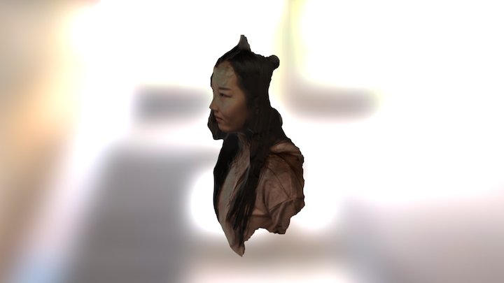 X 3D Model