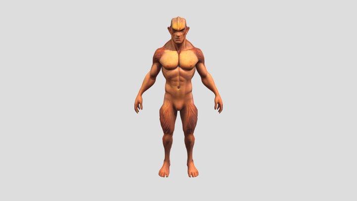 RAW MEAT 3D Model