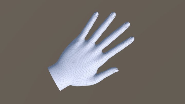 Simple Hand 3D Model