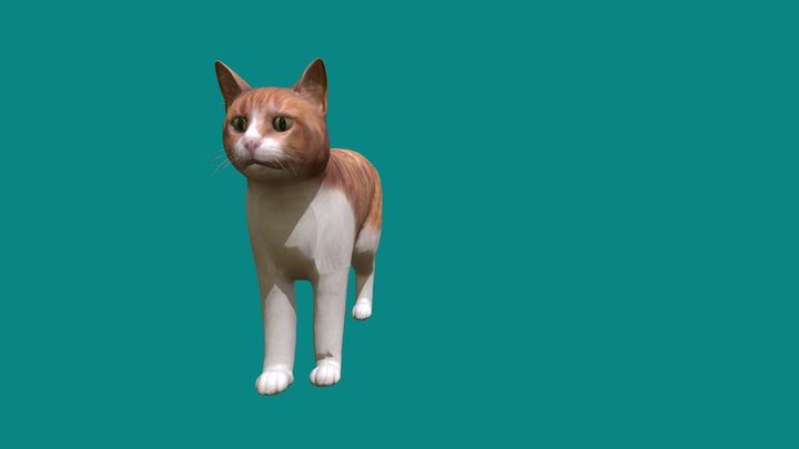 Bicolor Cat 3D Model