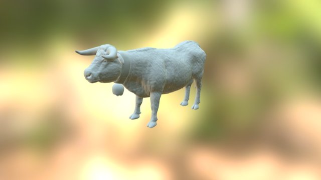 Vache d'Hérens 3D Model