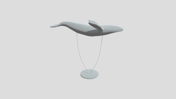 Whale Ceiling Decoration