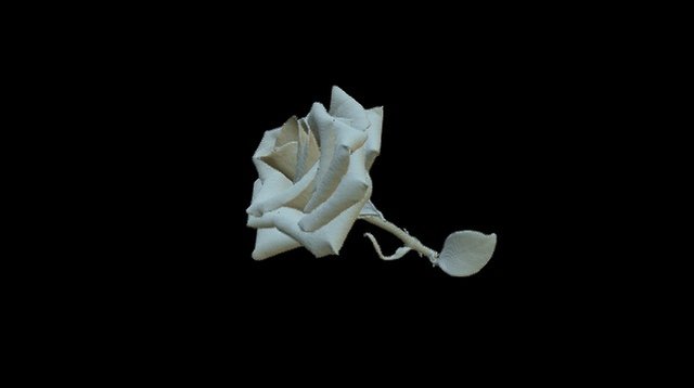 Rose 3D Model