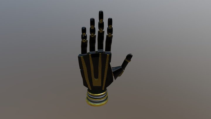 Augment Hand Model 3D Model
