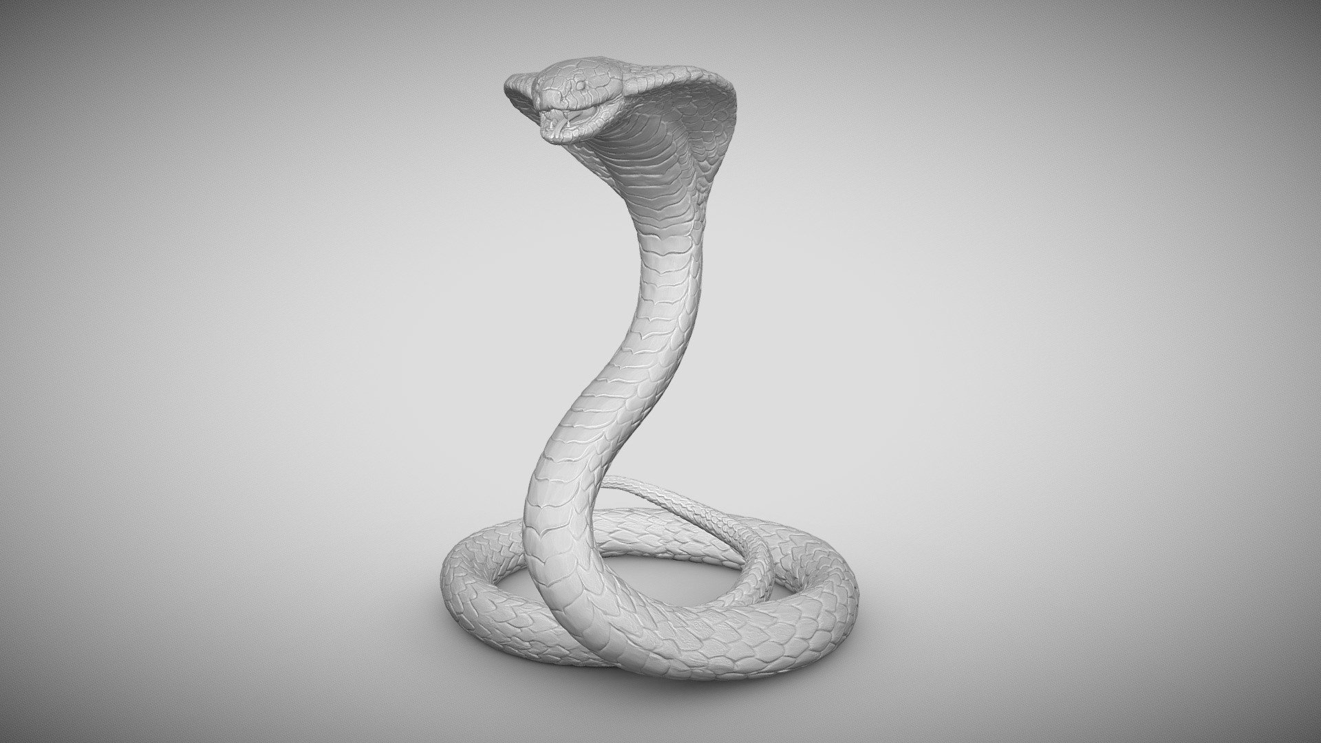 Snake - 3D Print Model by Explorer