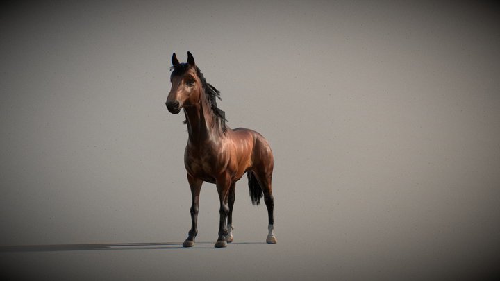 Horse 3D Model
