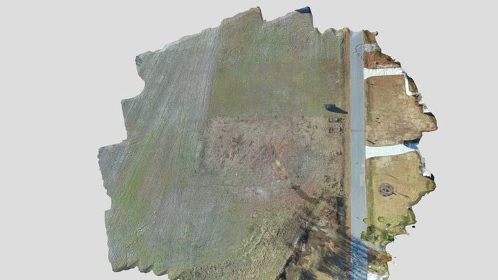 Bonner Hill Enslaved Cemetery 3D Model