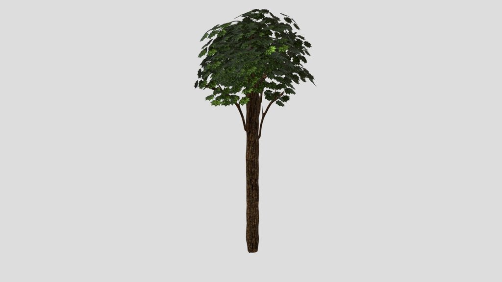 Tall tree for dinosaur scenes