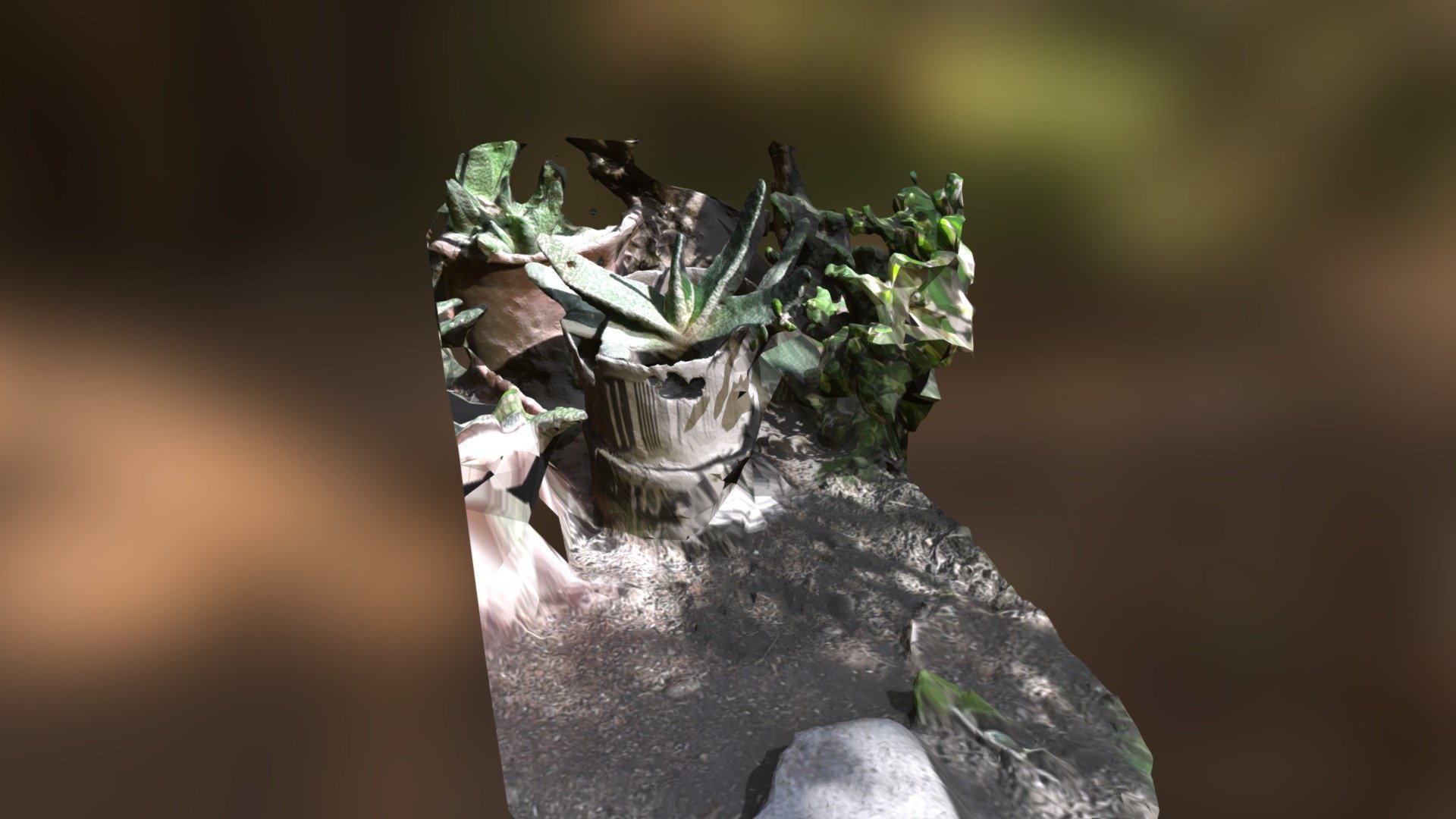 small garden of plants