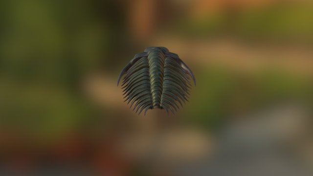 1 3D Model