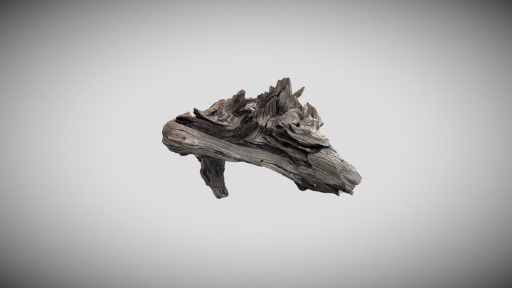 Drift wood from Dee Why 3D Model