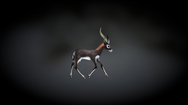 Gazelle 20f Walk 3D Model