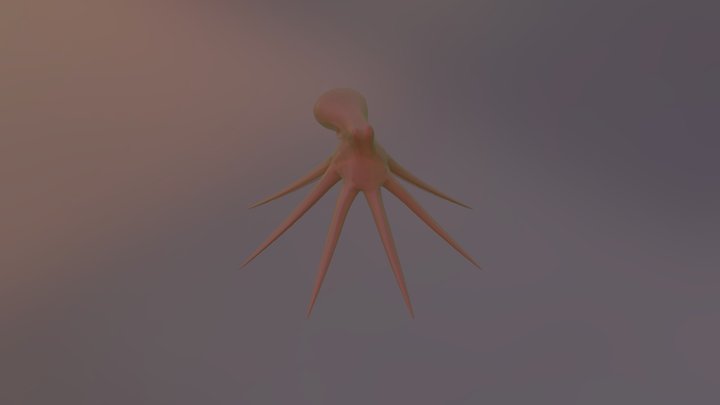 Octopus 3D Model