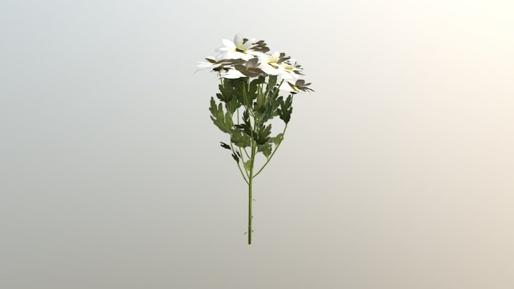 Xpu3aHtema 3D Model