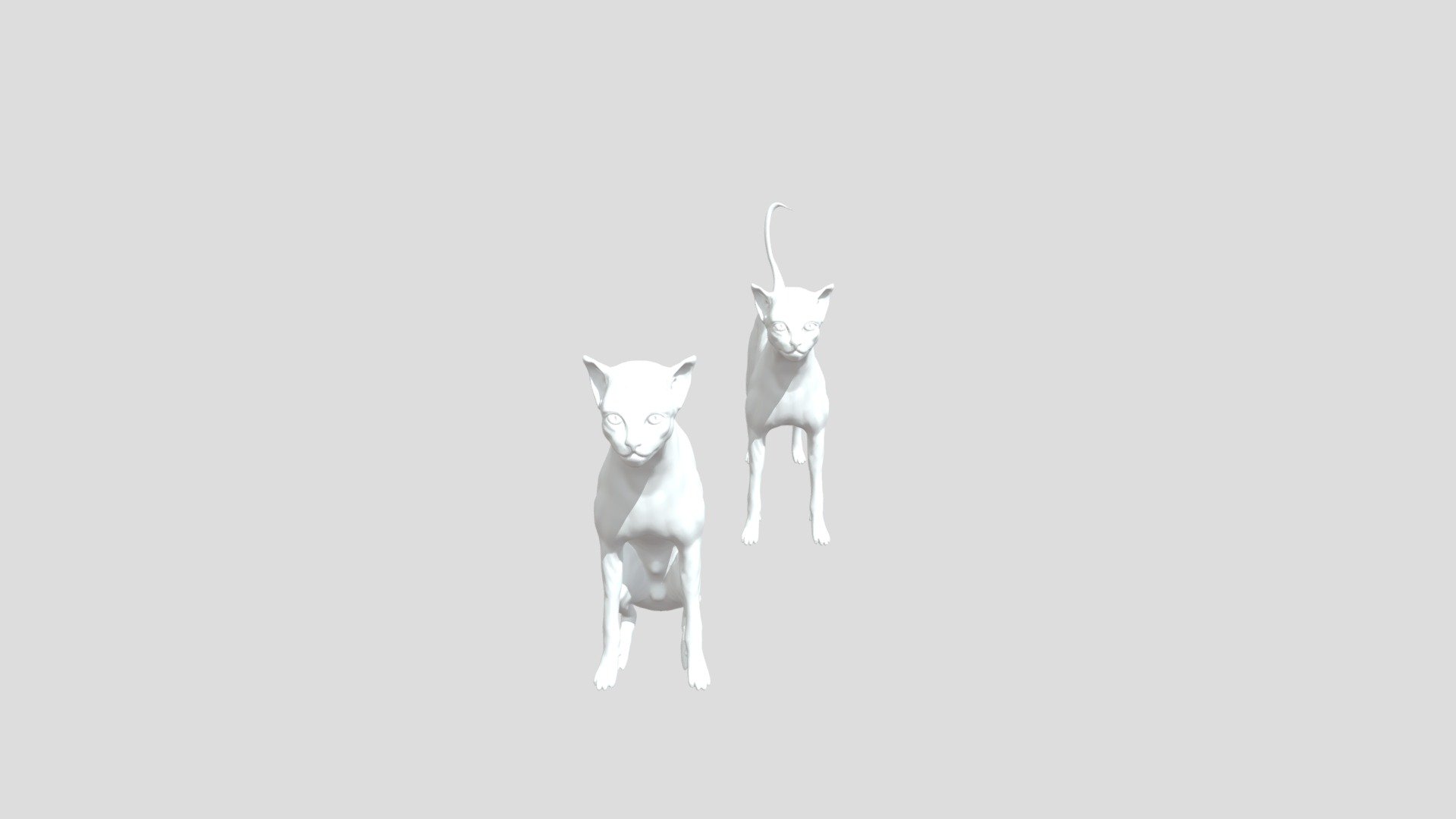 Cat Base Models (Free) - Download Free 3D model by CANER SAVAS ...
