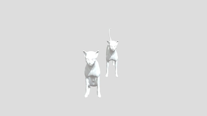 Cat Base Models (Free) 3D Model