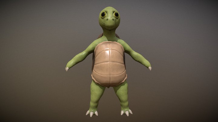 Turtle LP 3D Model