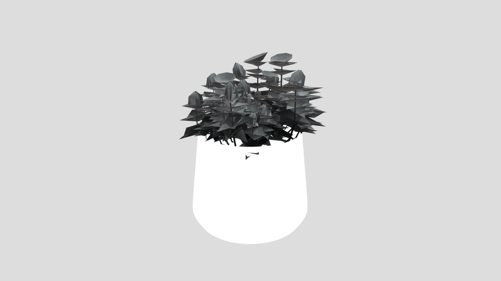 Plant Redpod Flower Potted