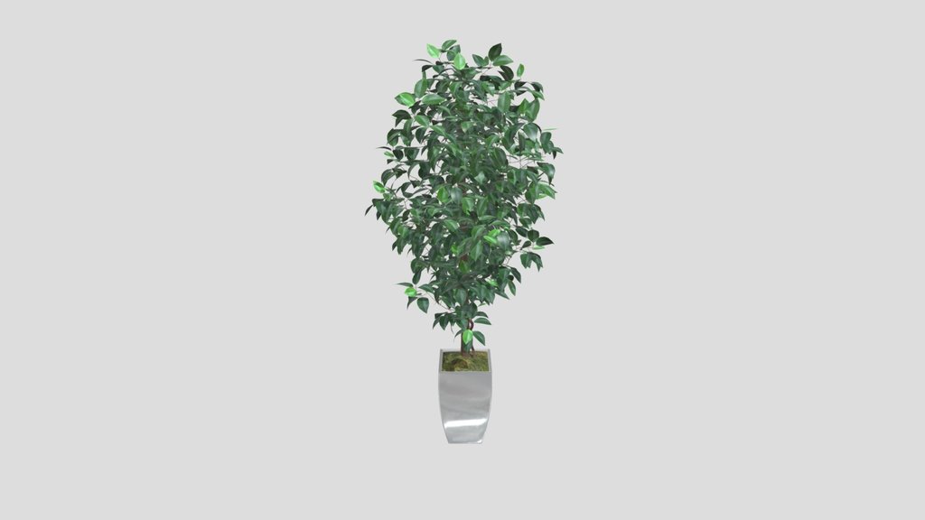 Faux Ficus Tree In Porcelain Planter