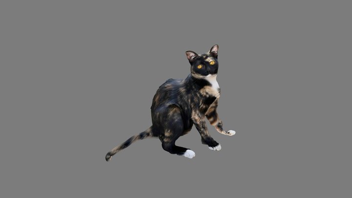 Jebo's cat on SPOT 3D Model