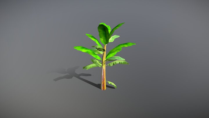 Banana Tree optimized for mobile game 3D Model