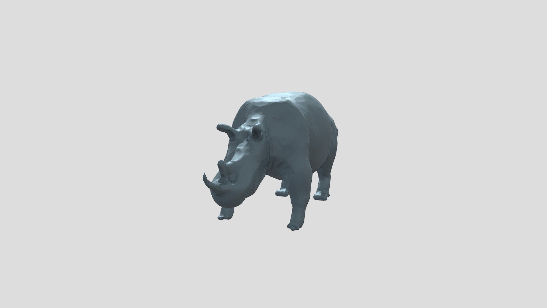 Week 1 | Rhino