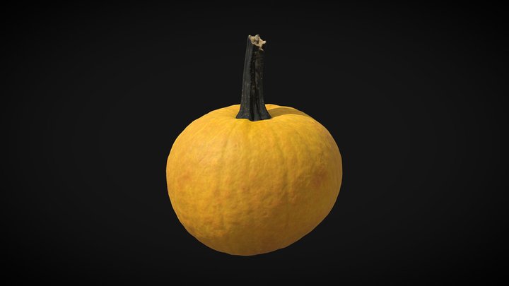Pumpkin Sunlight Yellow 3D Model