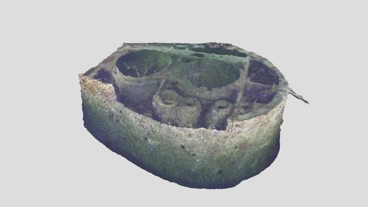 Fumaiolo dell'Haven 3D Model